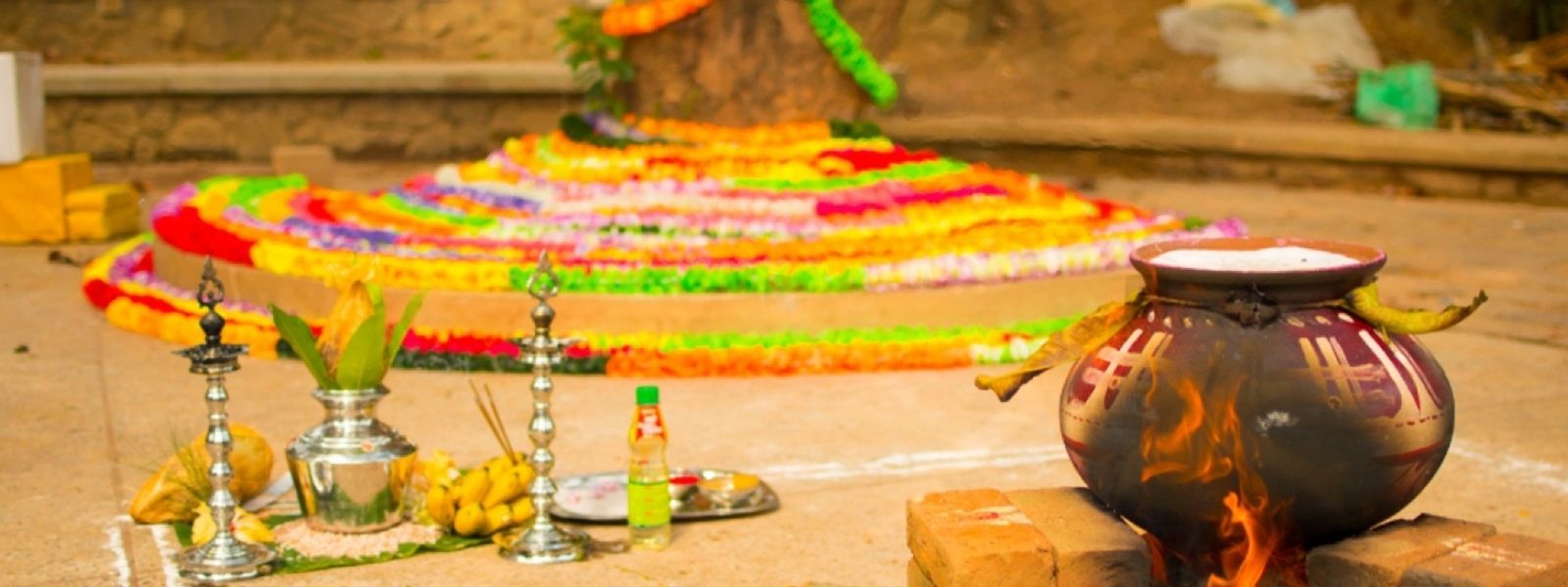 Hindu Communities Worldwide Celebrate Thai Pongal